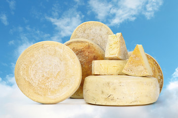 various types of cheese with blue sky background