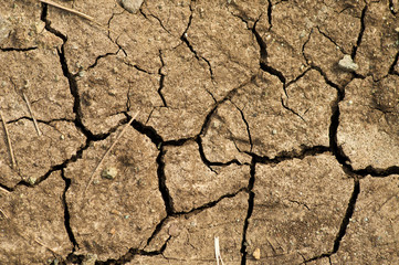 Ground texture