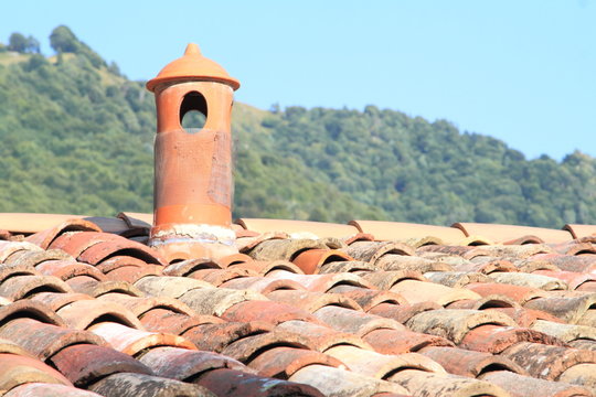 Tetto di un rustico con camino