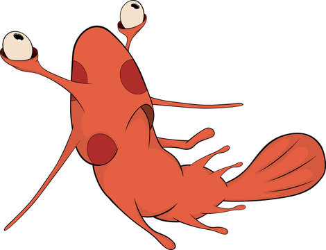 Red shrimp cartoon