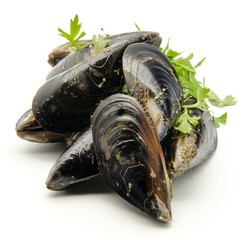 Mejillones