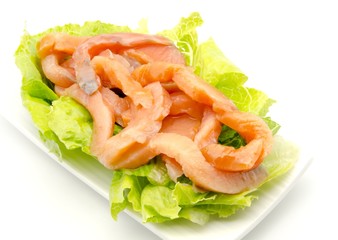 Salmon