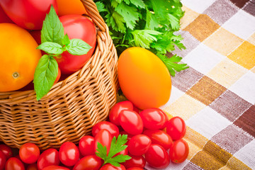 Wicker basket full of fresh tomatoes and cherry tomatoes