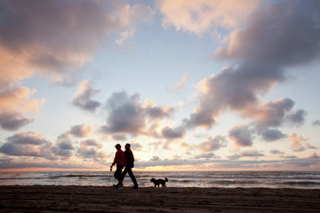 couple walking the dog on the beach