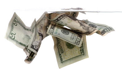 dollar banknotes in water