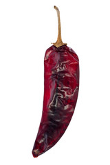 Guajillo Chili (Capsicum Annuum)