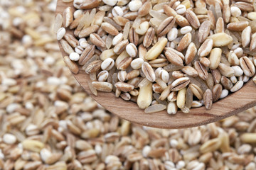Mixed Grains in Spoon