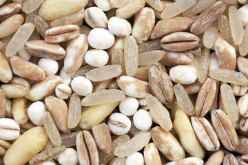 Grain Mixture Close Up