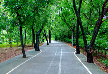 Obraz premium The Road along the park