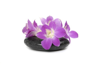 Four pink orchid and stones on the white background