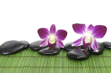 Two pink orchid with stones on green mat