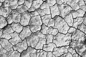 details of Dry cracked soil