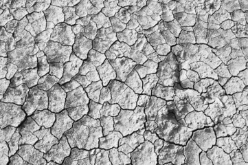 details of Dry cracked soil