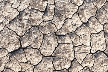 details of Dry cracked soil