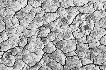 details of Dry cracked soil
