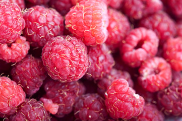 raspberry background