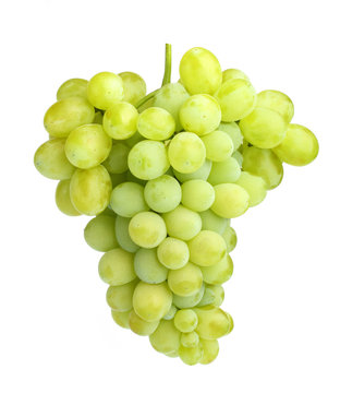 white grapes isolated on white