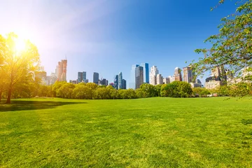 Deurstickers Central Park Centraal park op zonnige dag