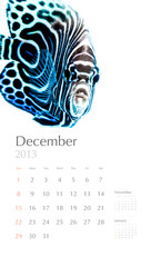 2013 calendar, sea marine life concept