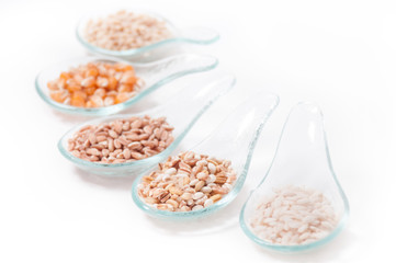 Cereals - grains on a white background_ Cereali su sfondo bianco