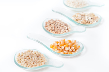 Cereals - grains on a white background_ Cereali su sfondo bianco
