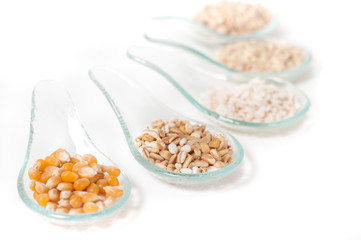 Cereals - grains on a white background_ Cereali su sfondo bianco