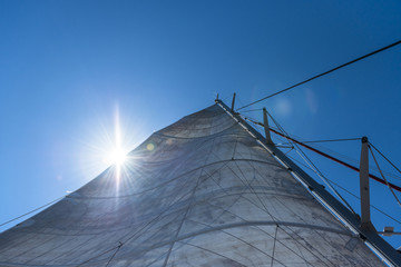 Sailing in the Sunshine - 44254030