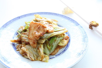Chinese cuisine, cabbage and pork stir fried