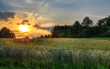 Obraz premium Sonnenuntergang