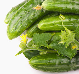 large green cucumber Green cucumber on white background