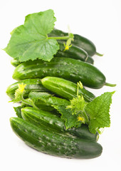 green cucumbers isolated on white the background