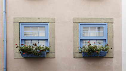 Fototapeta na wymiar Okna z kwiatami