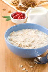 Bowl of oatmeal with berry and milk