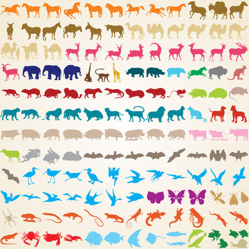 Animals silhouettes, vector set of 148 animal species