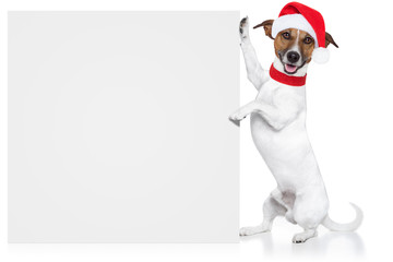 christmas dog placeholder