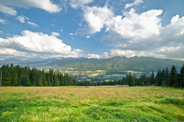 Fototapeta na wymiar Green panorama in the mountain