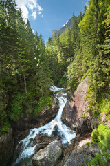 Fresh spring in the mountains