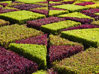 botanical garden © petroos