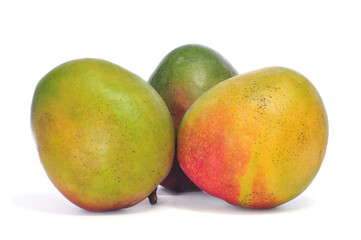 mango fruits
