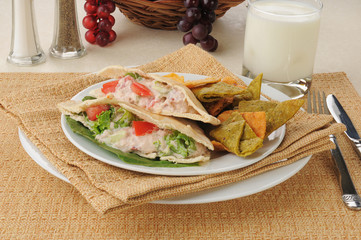 Tuna sandwich on pita bread
