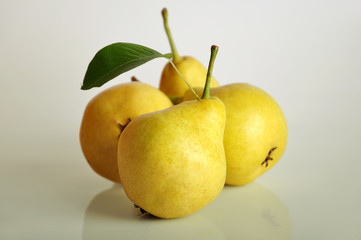 fresh pears