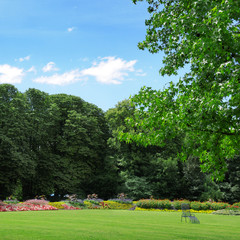 summer park