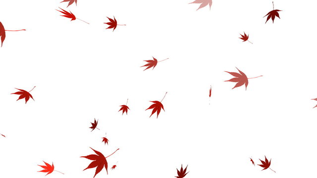 HD Loopable Falling Autumn Leaves Animation