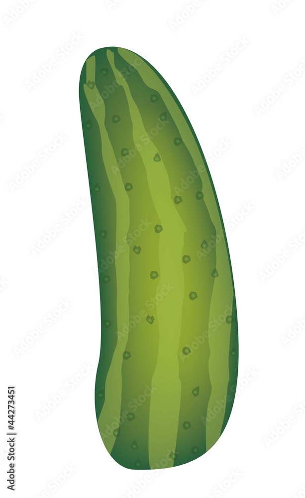 Canvas Prints cucumber