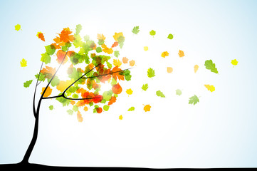 autumn background