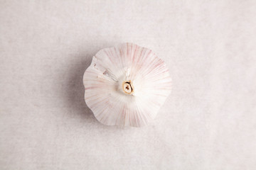 garlic