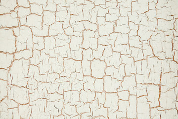 Paint Texture Background