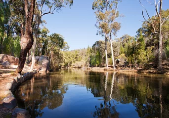Crédence en verre imprimé Australie John forrest National park, australia