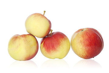 The fresh red apple over white backgrounds