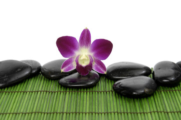 Beautiful orchid with stones on green stick straw mat